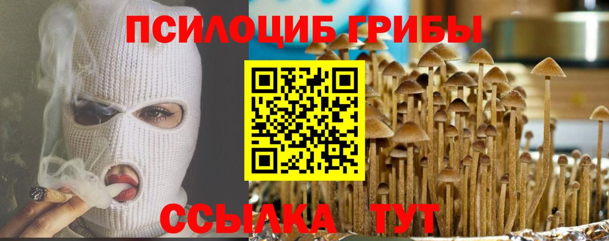 Сунжа  Галлюциногенные грибы Psilocybine cubensis  Галлюциногенные грибы мицелий  Вход с VPN 
